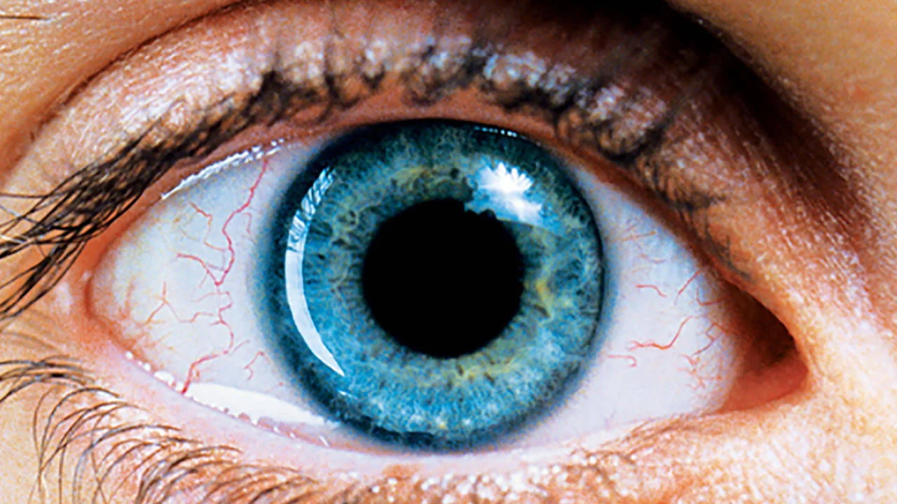 Requiem for a Dream film still